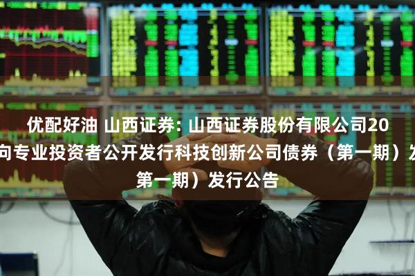 优配好油 山西证券: 山西证券股份有限公司2025年面向专业投资者公开发行科技创新公司债券(第一期)发行公告