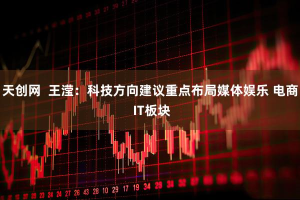 天创网 王滢:科技方向建议重点布局媒体娱乐 电商 IT板块