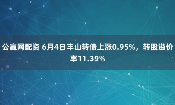 公赢网配资 6月4日丰山转债上涨0.95%，转股溢价率11.39%