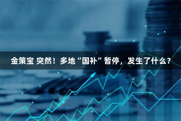 金策宝 突然！多地“国补”暂停，发生了什么？