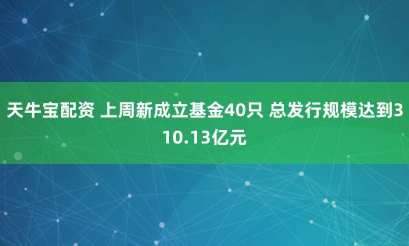 天牛宝配资 上周新成立基金40只 总发行规模达到310.13亿元