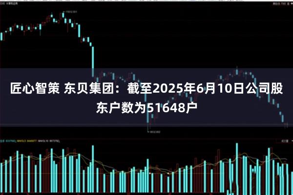 匠心智策 东贝集团：截至2025年6月10日公司股东户数为51648户