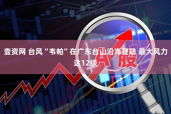 壹资网 台风“韦帕”在广东台山沿海登陆 最大风力达12级