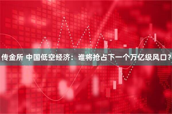 传金所 中国低空经济：谁将抢占下一个万亿级风口？