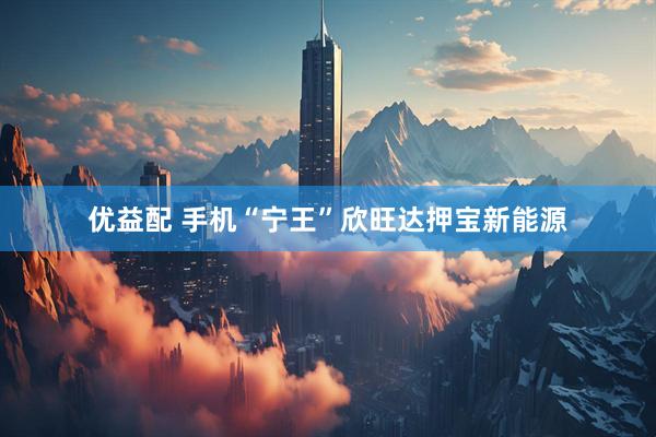 优益配 手机“宁王”欣旺达押宝新能源