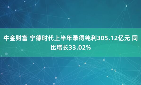 牛金财富 宁德时代上半年录得纯利305.12亿元 同比增长33.02%