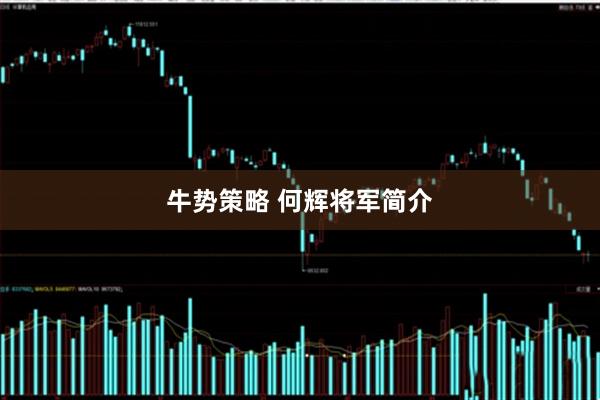 牛势策略 何辉将军简介