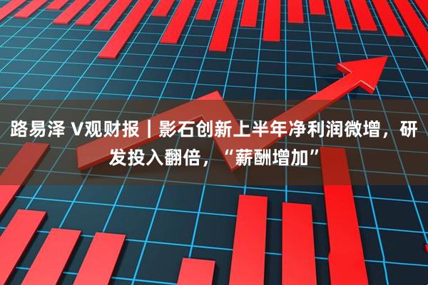 路易泽 V观财报｜影石创新上半年净利润微增，研发投入翻倍，“薪酬增加”