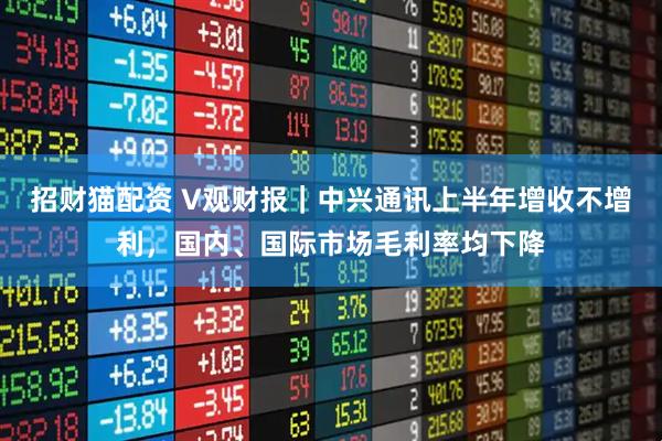 招财猫配资 V观财报｜中兴通讯上半年增收不增利，国内、国际市场毛利率均下降