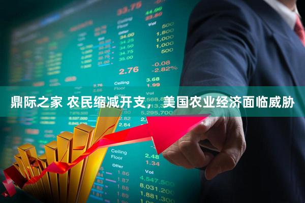 鼎际之家 农民缩减开支， 美国农业经济面临威胁