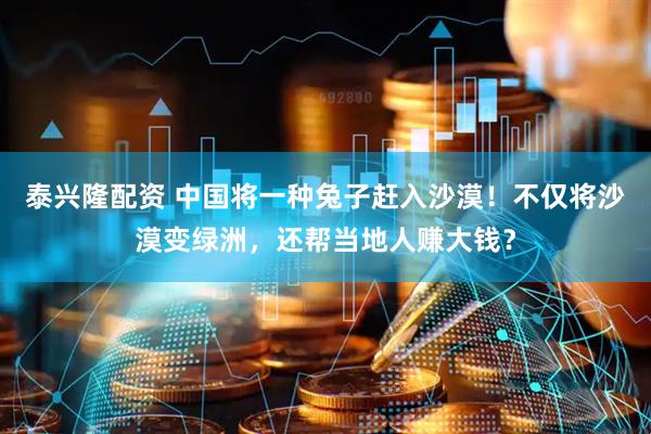 泰兴隆配资 中国将一种兔子赶入沙漠！不仅将沙漠变绿洲，还帮当地人赚大钱？