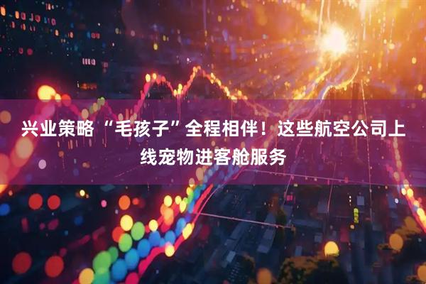 兴业策略 “毛孩子”全程相伴！这些航空公司上线宠物进客舱服务