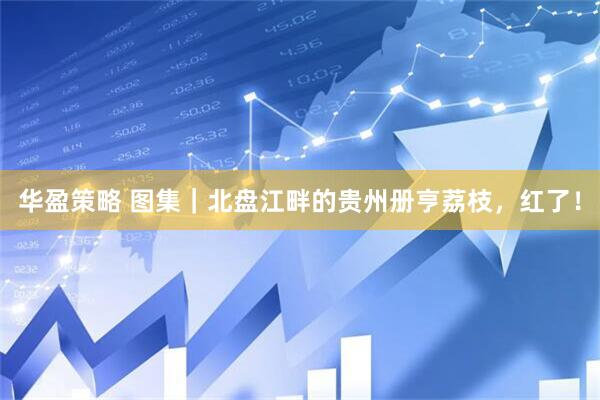 华盈策略 图集｜北盘江畔的贵州册亨荔枝，红了！