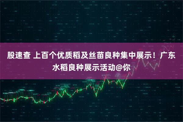 股速查 上百个优质稻及丝苗良种集中展示！广东水稻良种展示活动@你